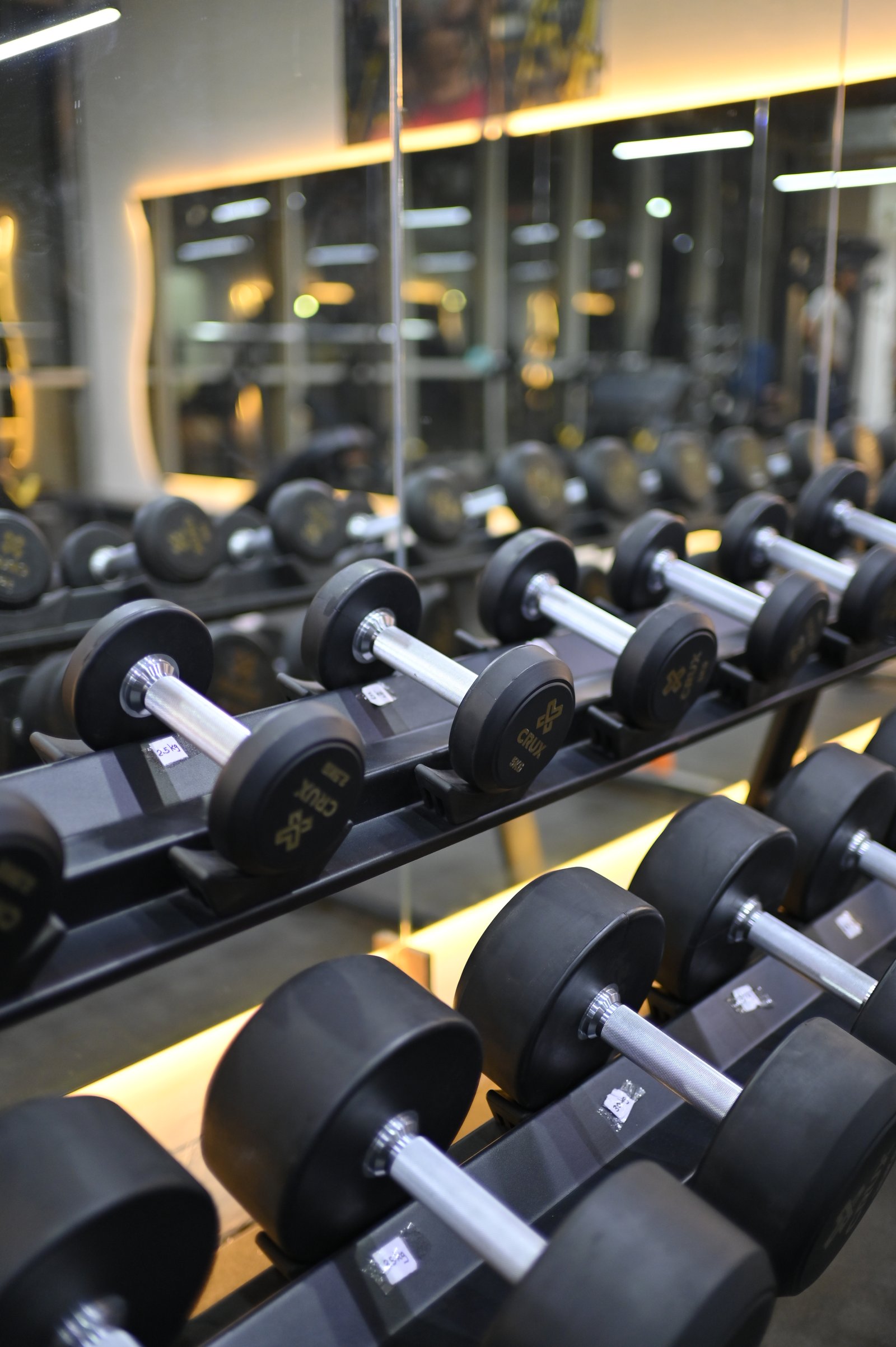 Axtreme Fit Gallery Input